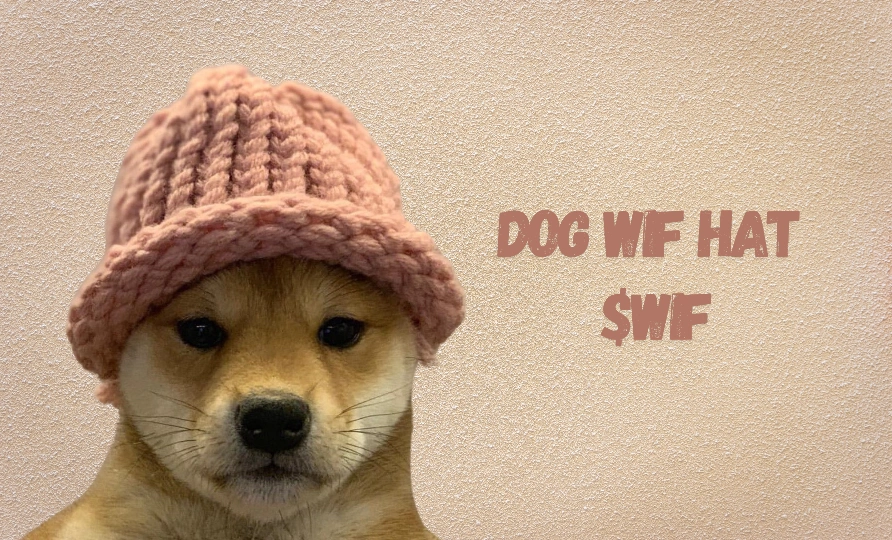 What is Dogwifhat (WIF)? A Guide to This Rising Meme Coin