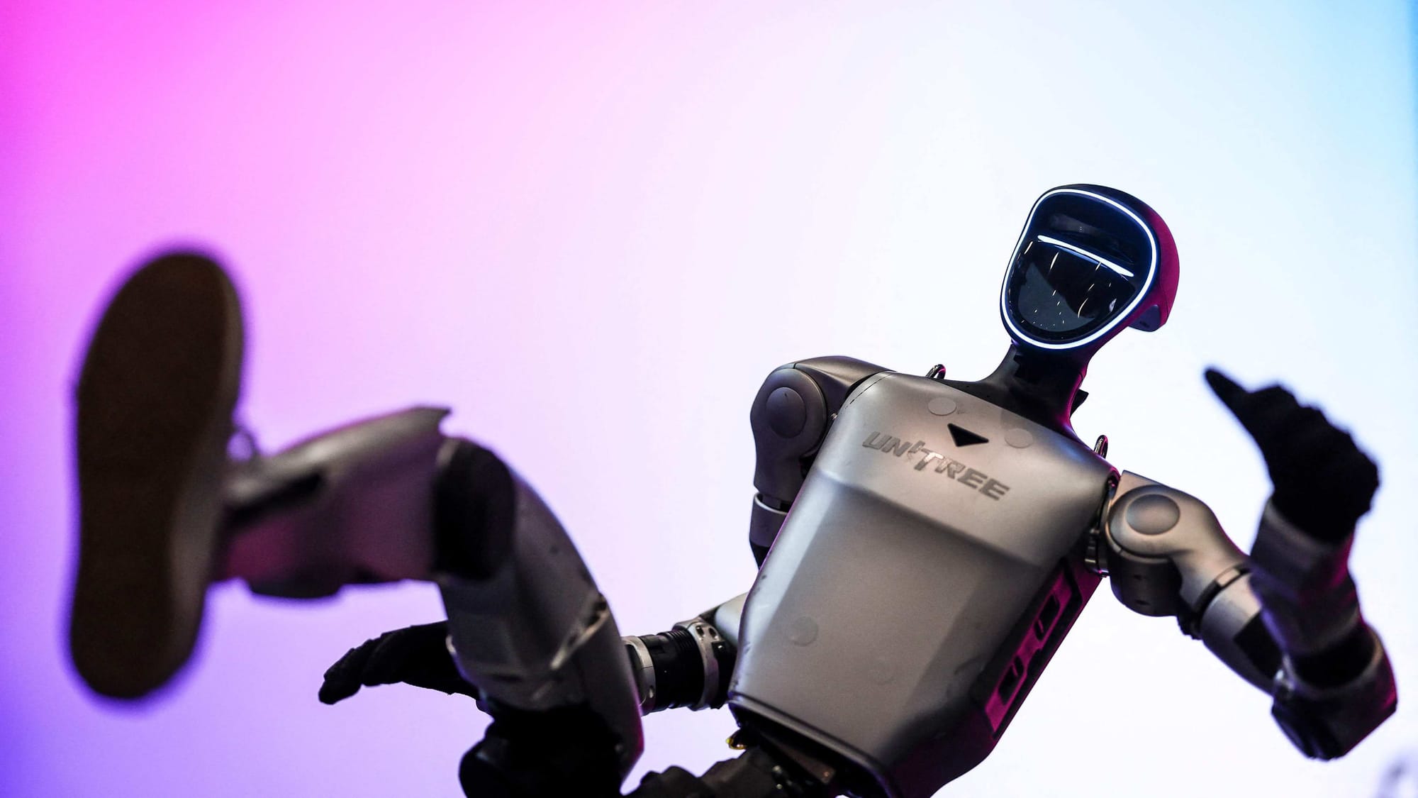 ⛵ Humanoid Hype Hits Wall