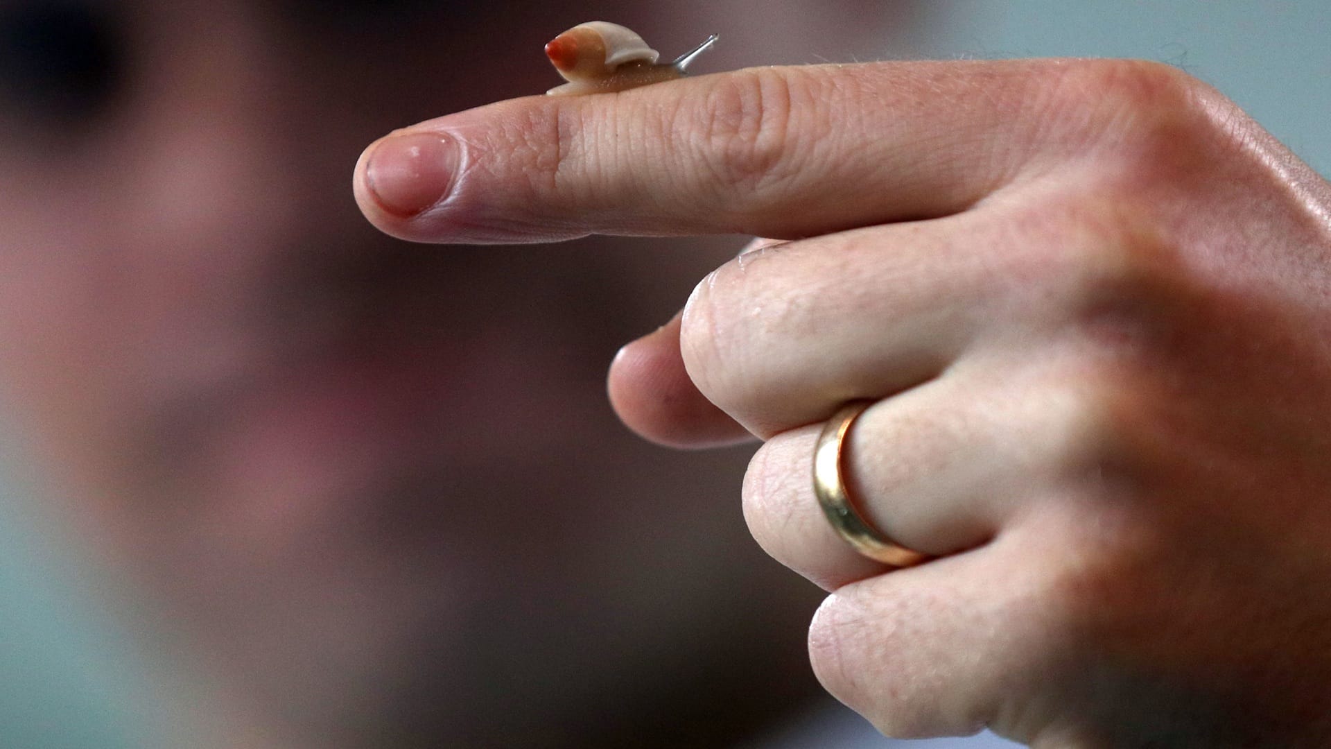 🤖 Snail Robots Target Tumors