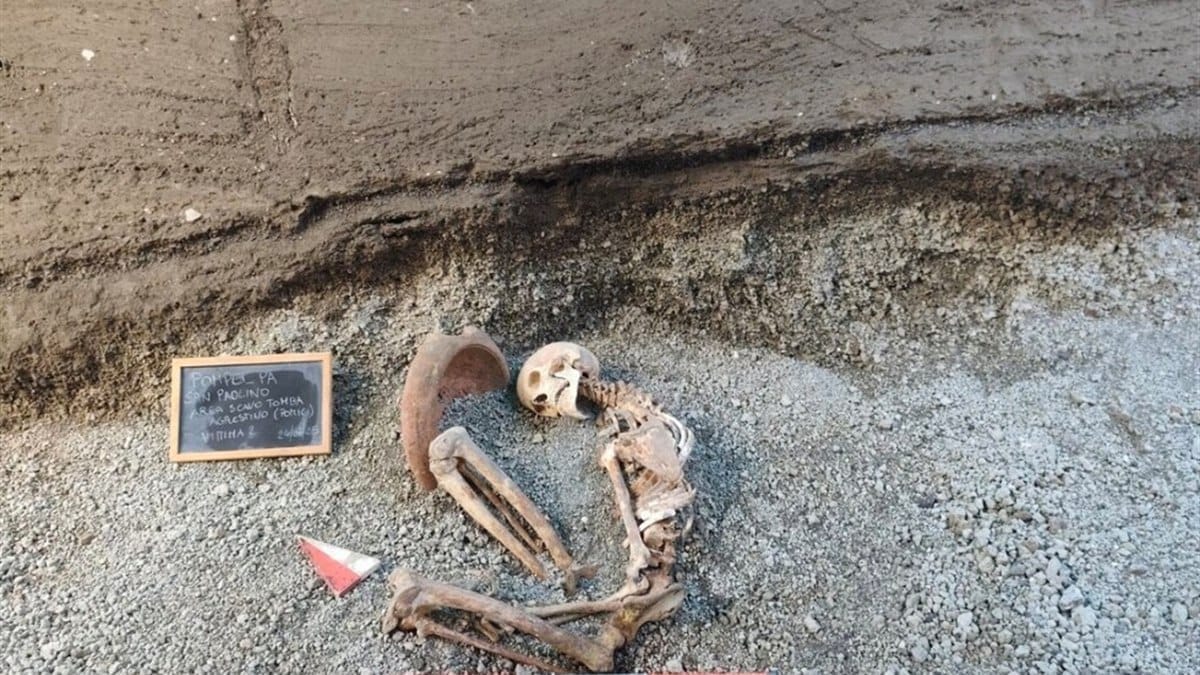 🛎️ Pompeii's Real Human Face