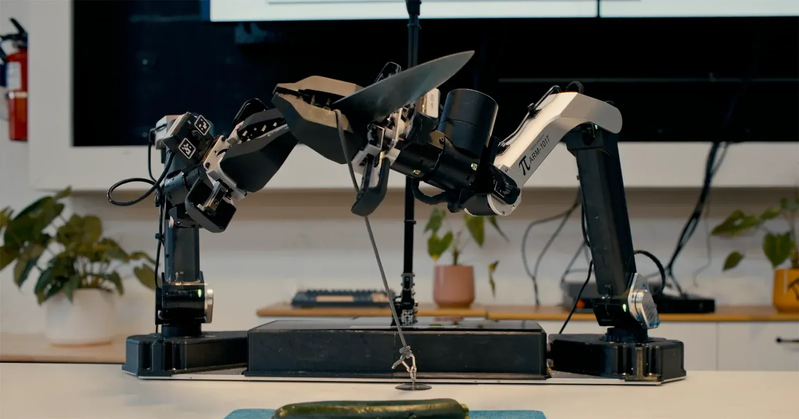 🤖 Brains Start Remixing