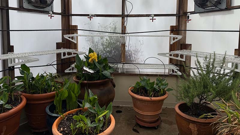 🦞 Auditable AI Greenhouse
