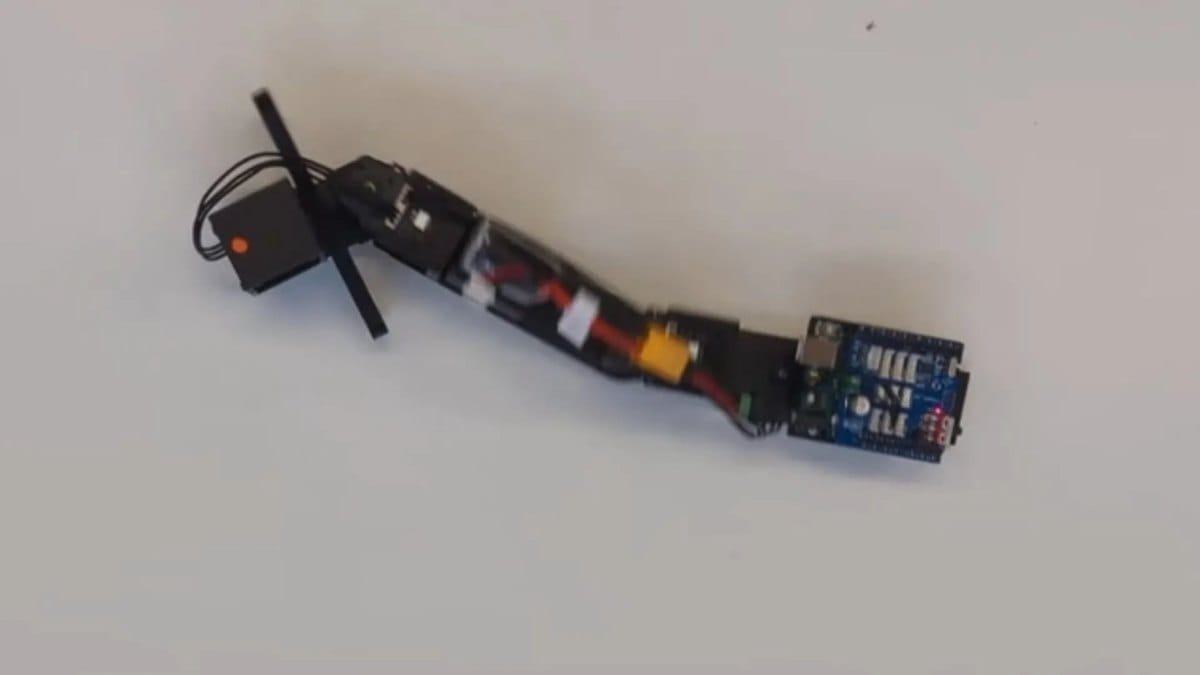 🤖 Robot Fish Rewinds Evolution