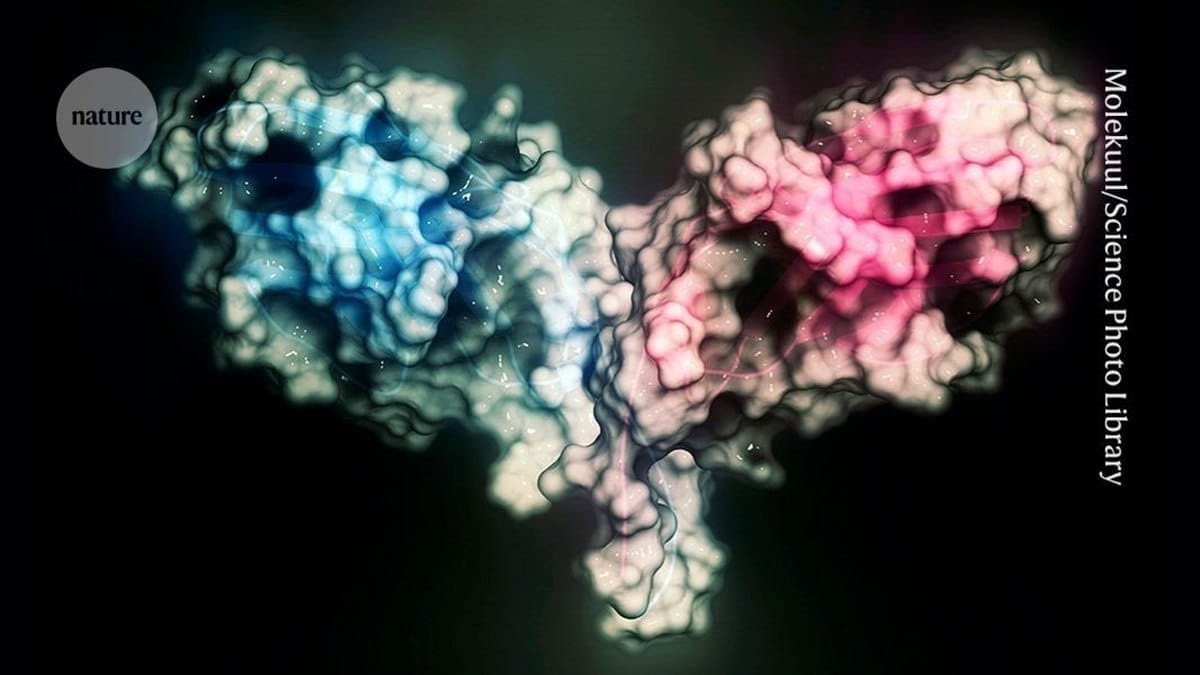 🛎️ The Nobel Prize Got Open-Sourced