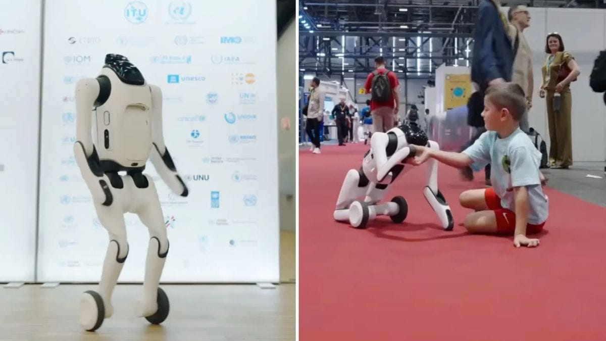 🤖 Robots Refuse One Body