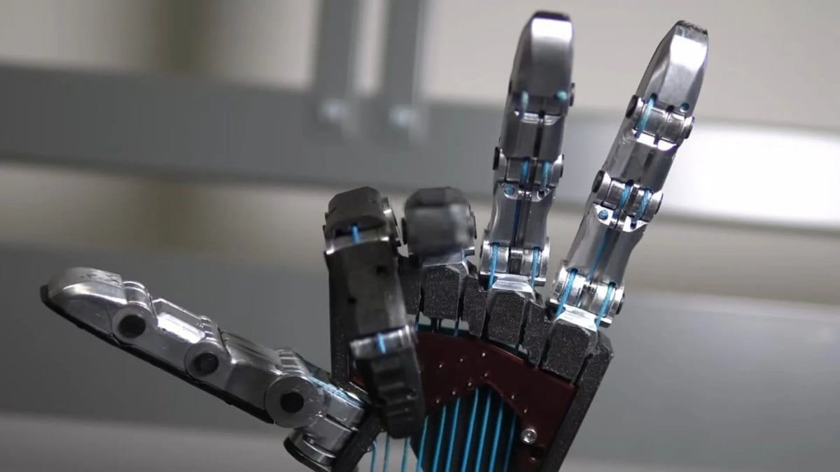 🤖 Hands Learn The Catch