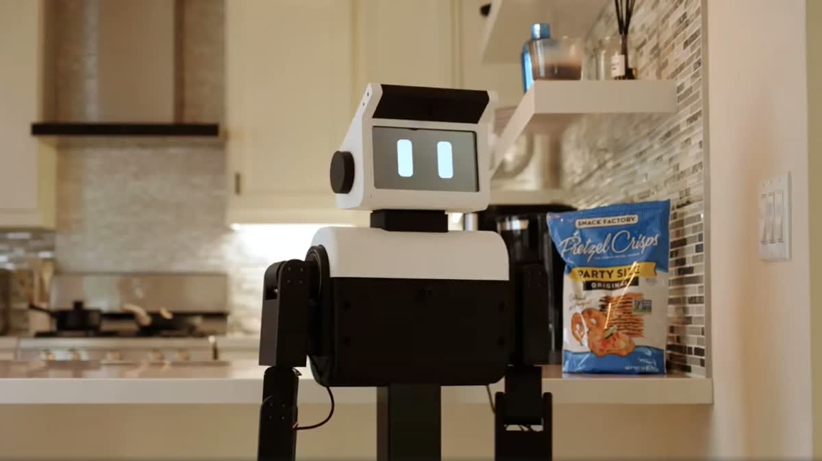 🤖 Home Humanoids Hit $1,688