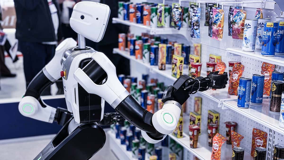 Robot Vision Chases IPO Cash