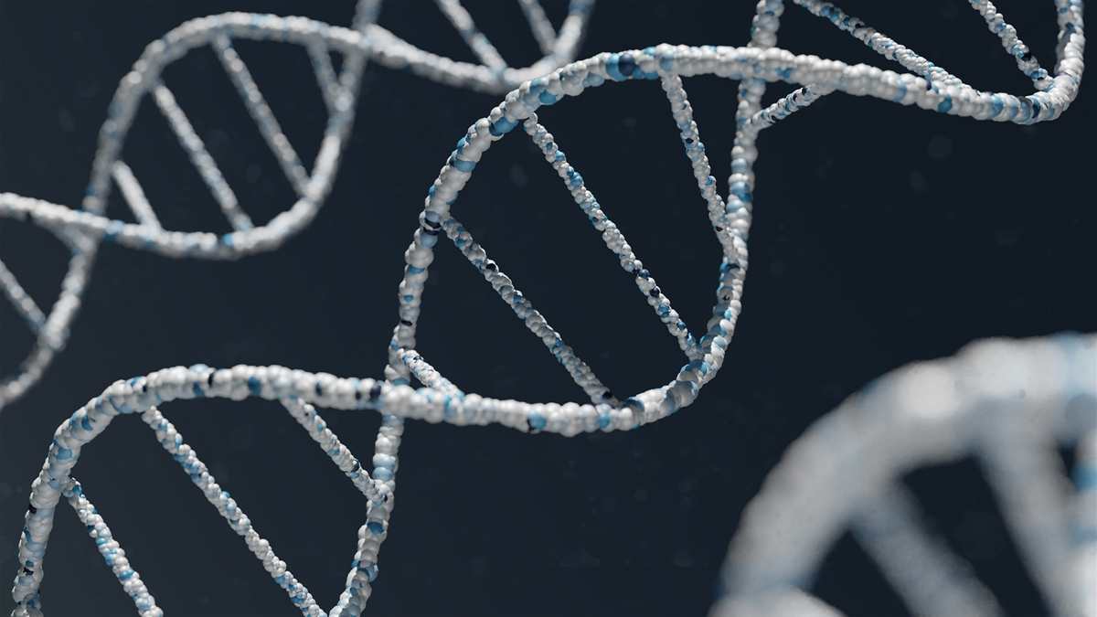 🛎️ The Genome Search Box