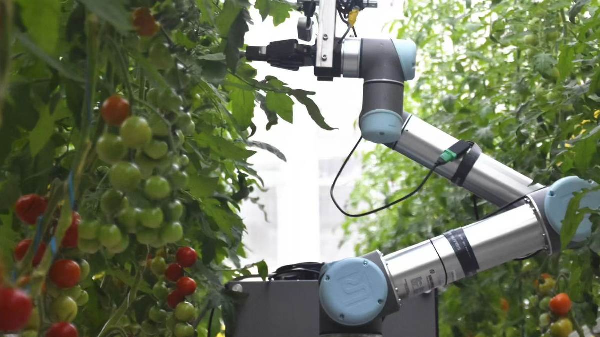 🤖 Pollen Gets A Second Arm