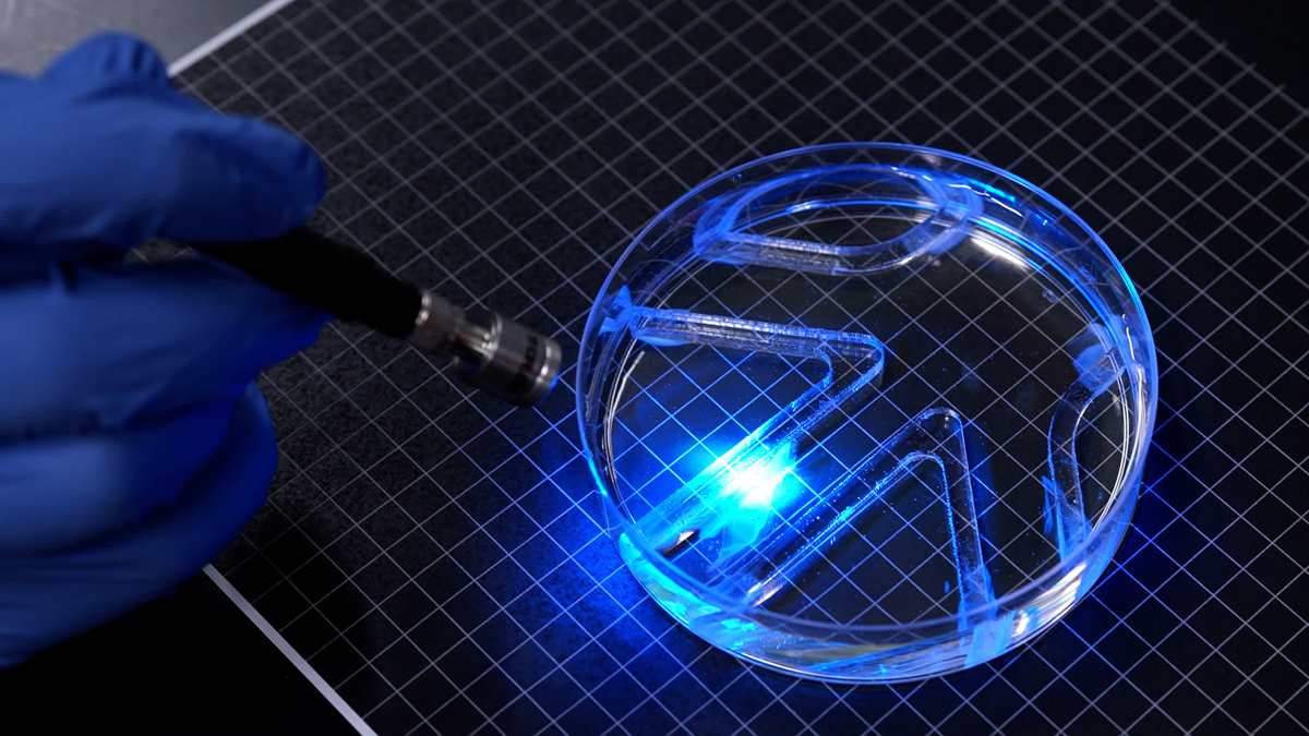 A Muscle Cell Takes The Helm