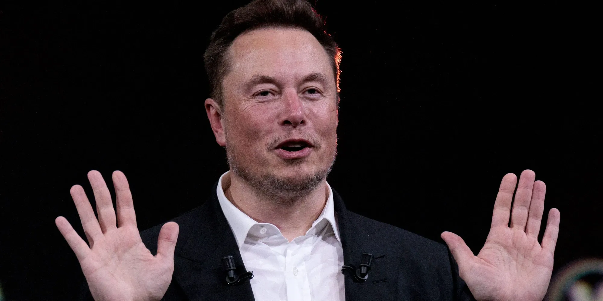 Elon Musk on stage with both hands raised