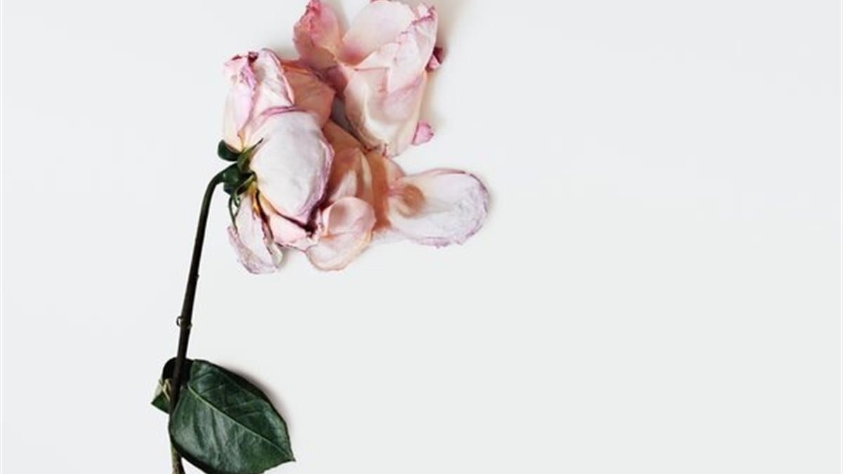 Lancome's I'm Fine campaign imagery