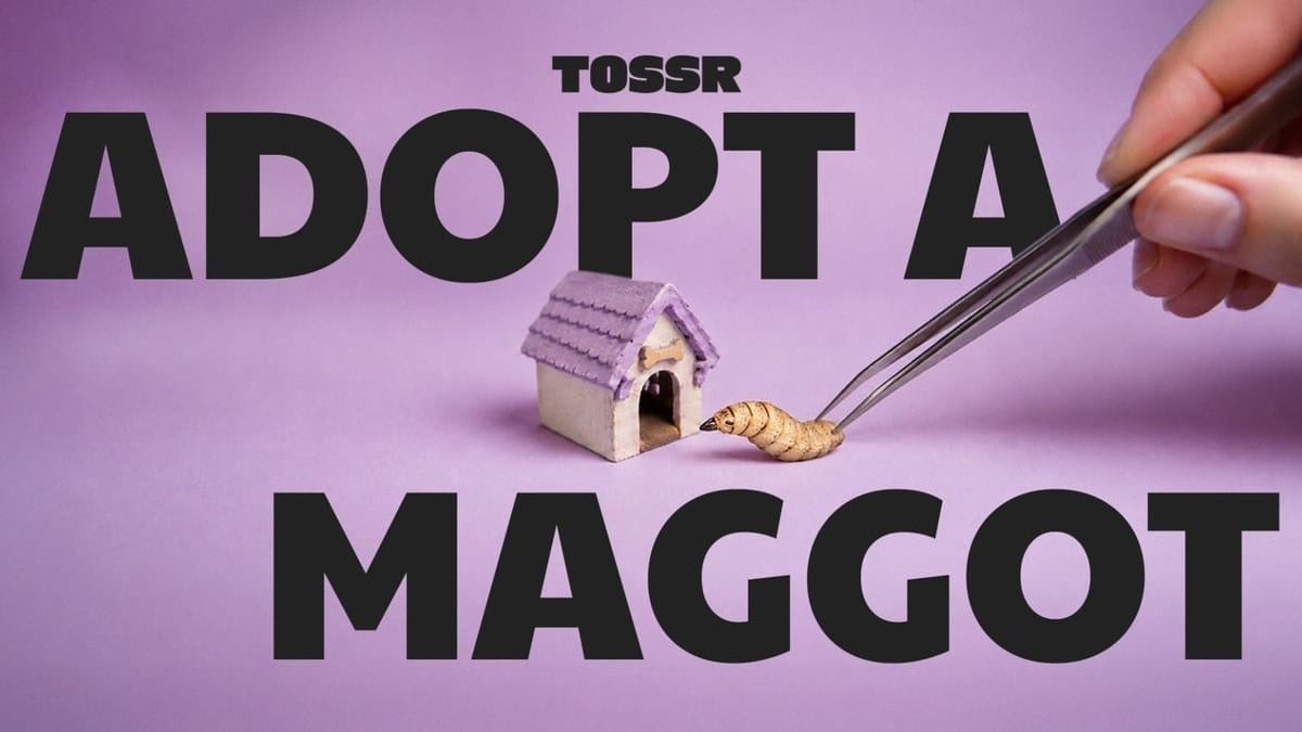 TOSSR's fictional Adopt a Maggot campaign