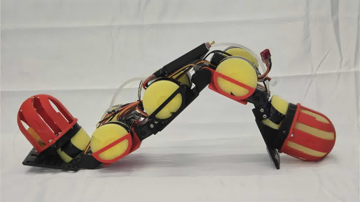 A Robot Moves Its Own Weight